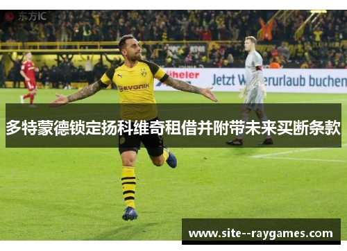 多特蒙德锁定扬科维奇租借并附带未来买断条款